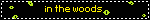 the text 'in the woods' with blinking tape lucidium eyes around it